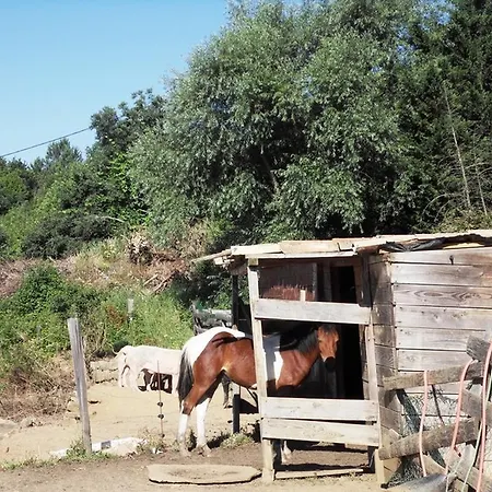 Holiday home De La Grenouillere